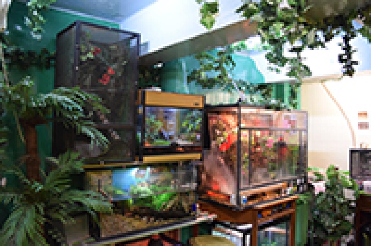 General Studies Room (360 panorama)